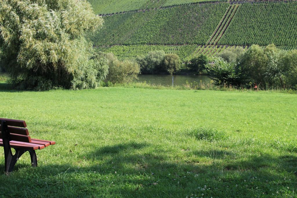 B&B Zum Treppchen Lösnich Eksteriør bilde