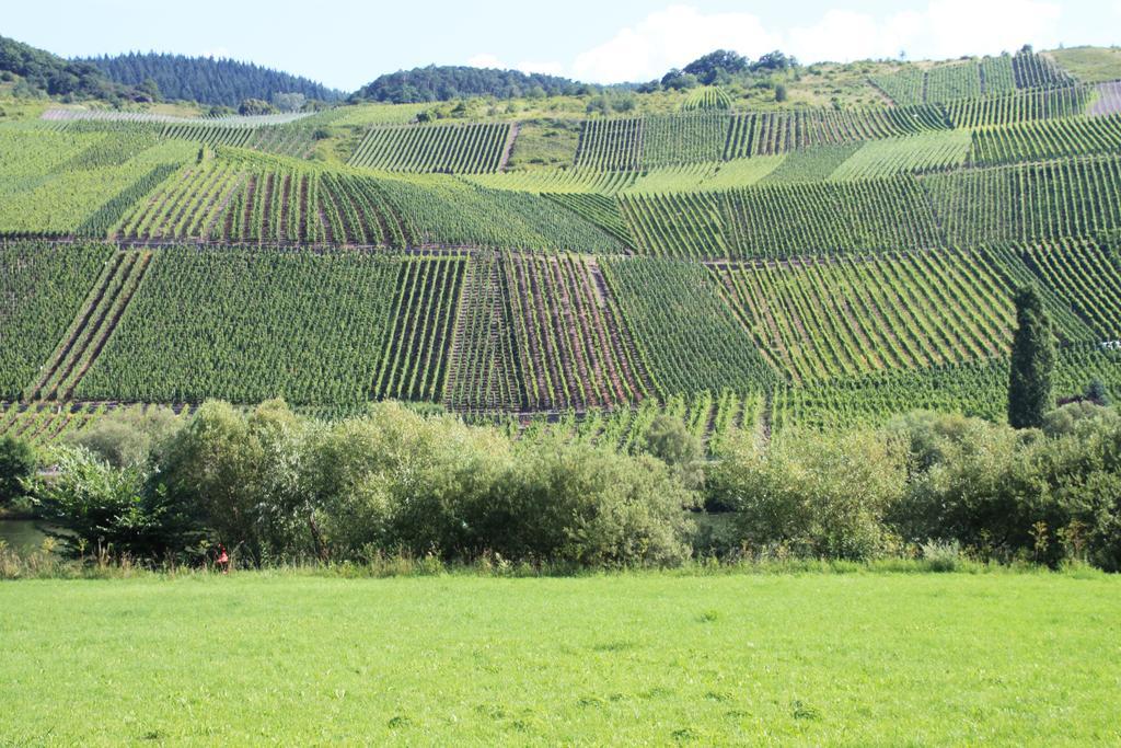 B&B Zum Treppchen Lösnich Eksteriør bilde